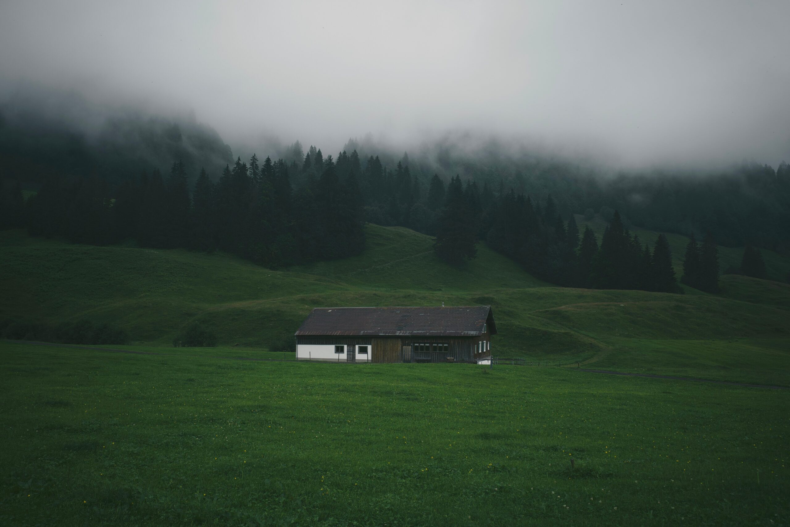Hello World Featured Image